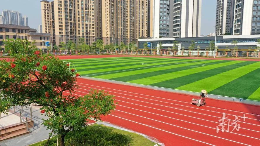 高中学校操场图片-高中操场全景图片