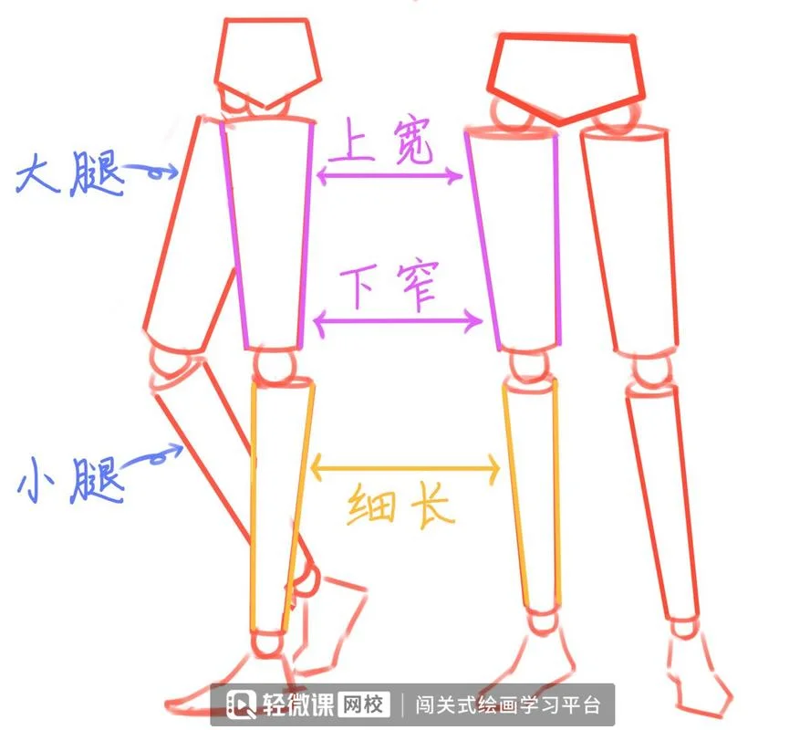 动漫女生腿怎么画_1