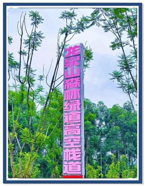 成都网红景点观景台_1