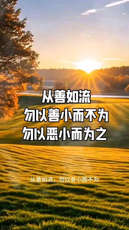 不以善小而不为下一句_1