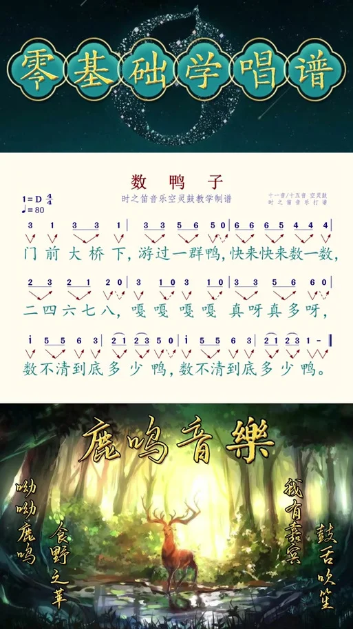 数鸭子儿歌是谁写的_1