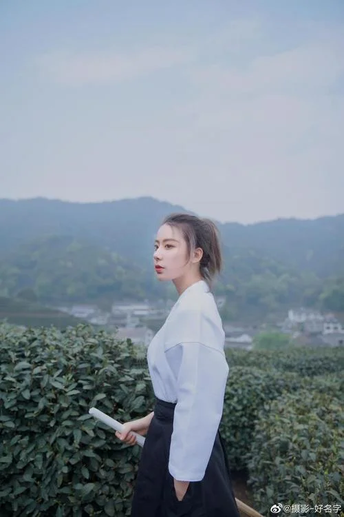 韶华倾覆出处_2
