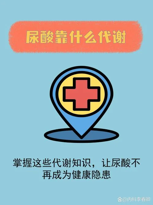 如何查尿酸排泄和生成_1