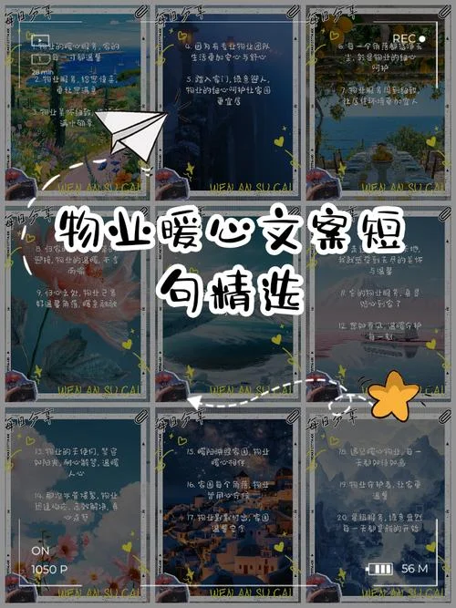 物业发展感悟-物业发展感悟