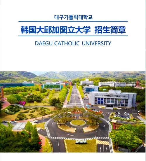 韩国大学高概率录取_2