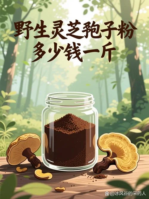 一亩灵芝能产多少孢子粉_1
