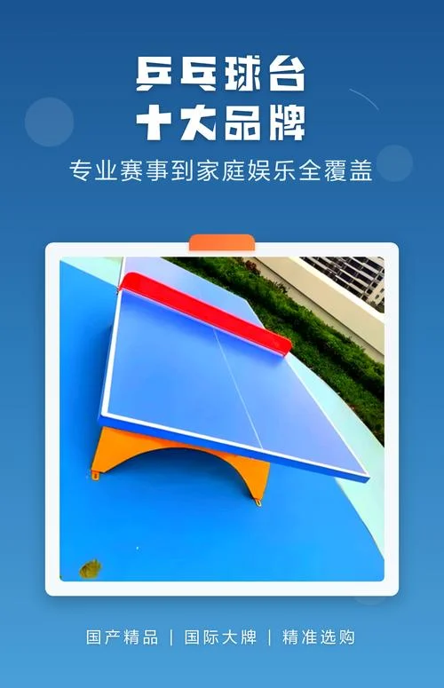 乒乓球桌用哪个牌子好_1
