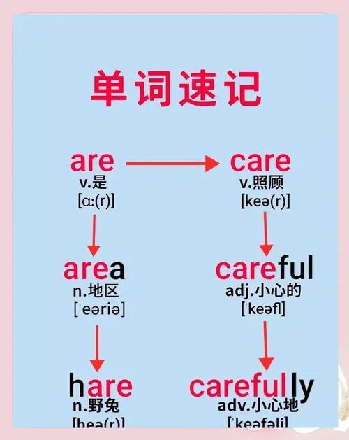net是什么意思英语_1