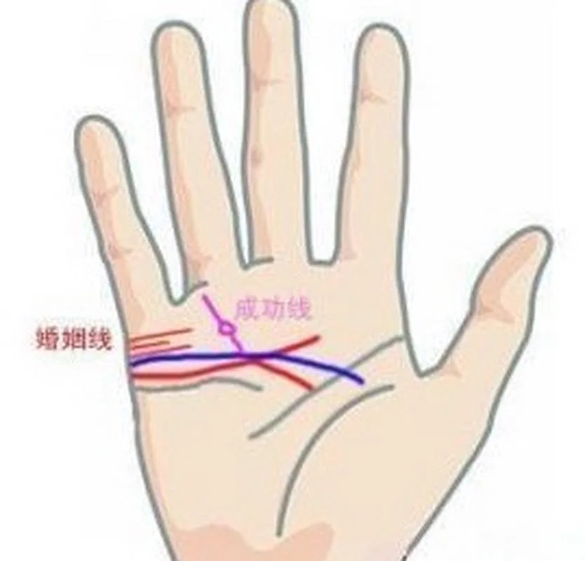 出轨手相图解_2