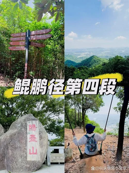 10公里大概多少步_2
