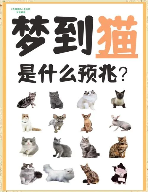 梦见两条狗一只猫_2