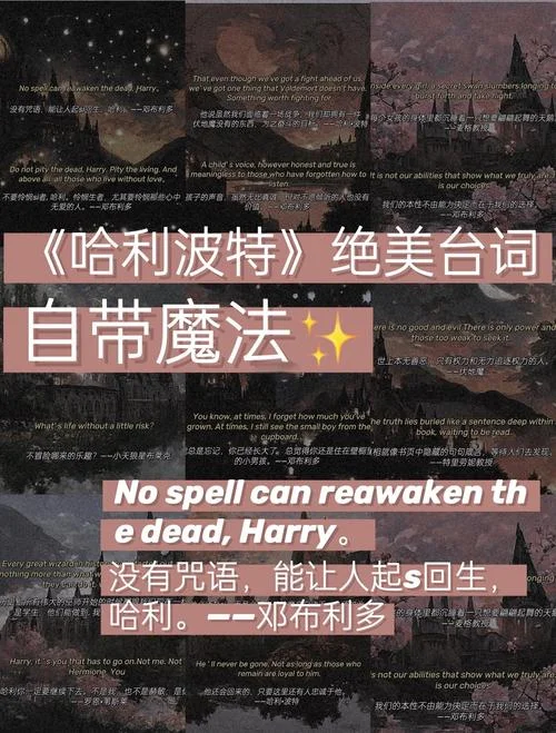 邓布利多名言中英出处-邓布利多名言出处
