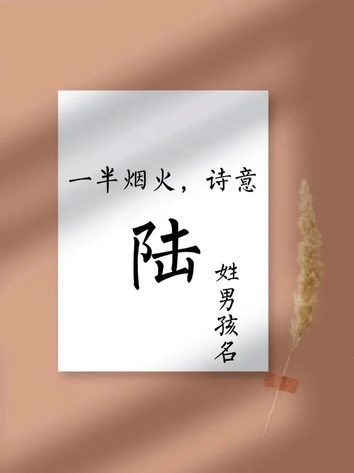 宝宝起名可靠吗男孩_1