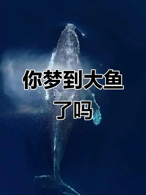 梦见掉到海里-梦见坠入大海