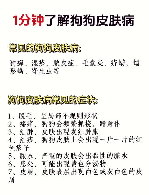 宠物过敏怎么办-宠物过敏快速缓解