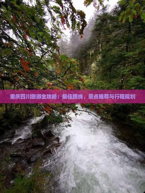 重庆四川旅游攻略_2