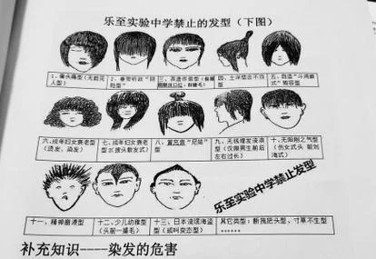 乐至实验中学分数线_1