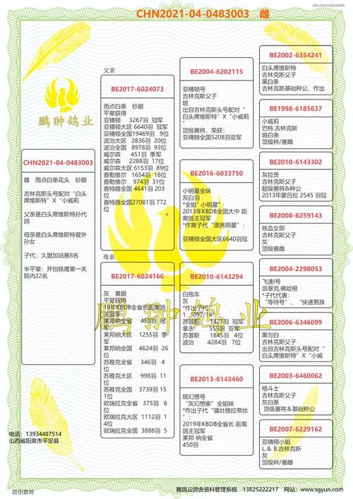 搜鸽网查询查成绩_2
