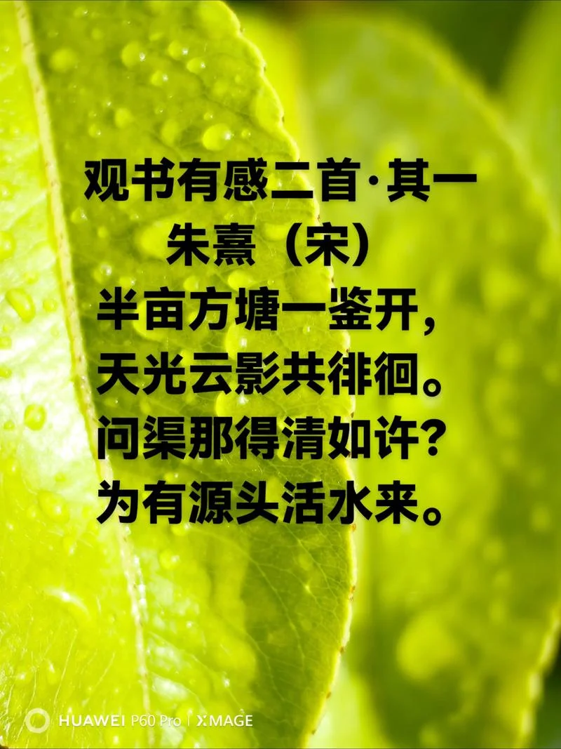 为有源头活水来的出处_1