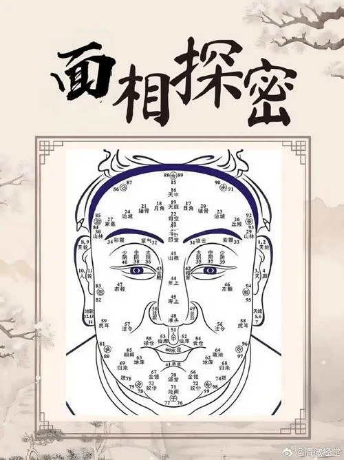 面相书-面相书解读术