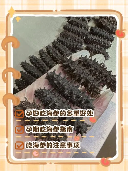 孕妇几月吃海参最佳_2