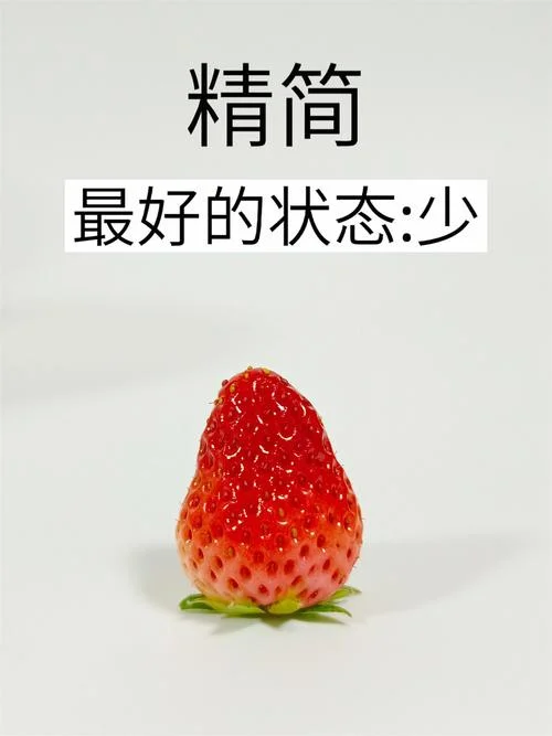 simple什么意思_2