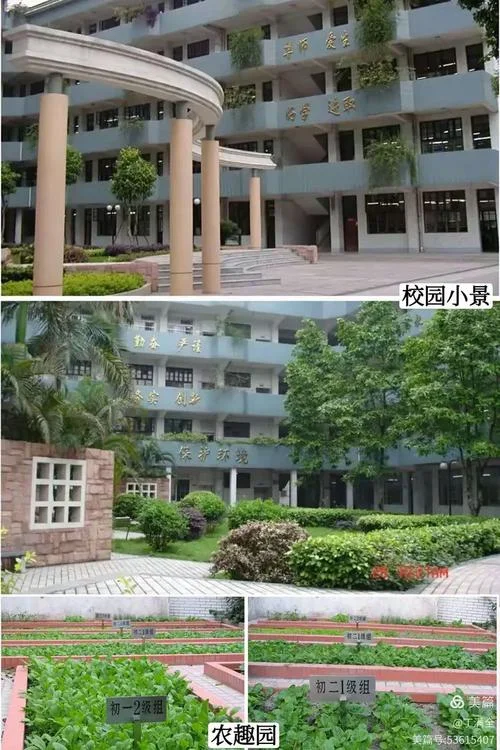 襄樊市第三十二中学-南门怎么样-襄樊三中南门升学