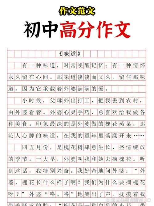 中学生中考作文书-中学生中考作文书