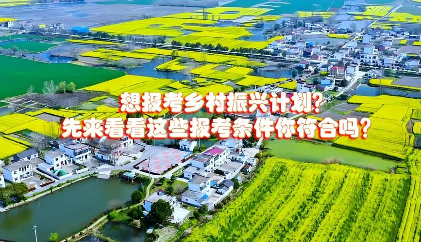 振兴计划报考条件_1