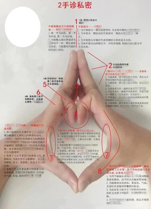 学习手诊感悟_1