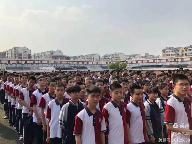 泗阳县致远中学网站_1