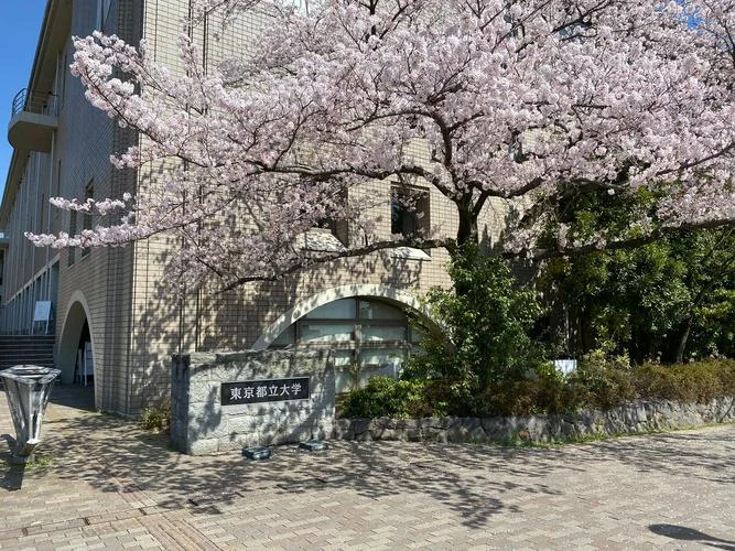 日本著名的大学-日本著名大学