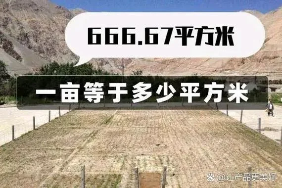238亩地等于多少平方米_2