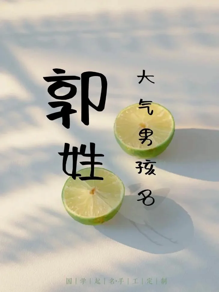 郭姓男宝宝起名_1