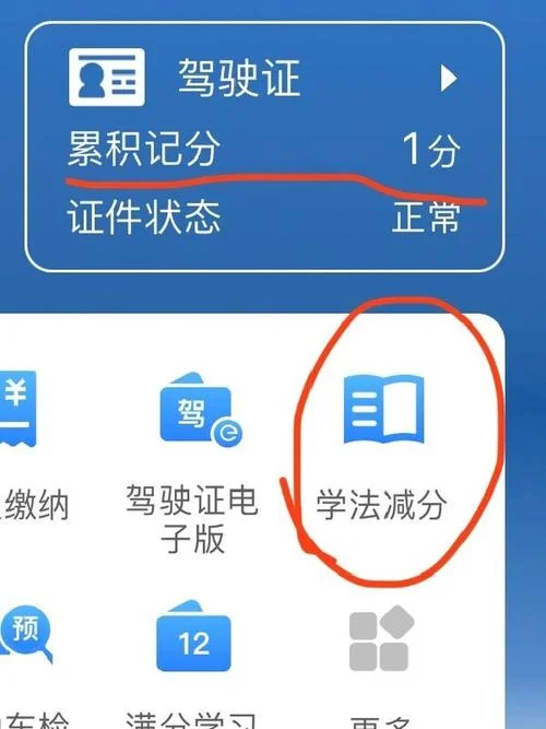 驾照查分在哪查_1