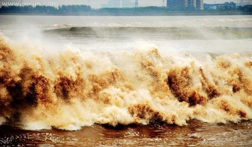 梦见被海水淹没_2