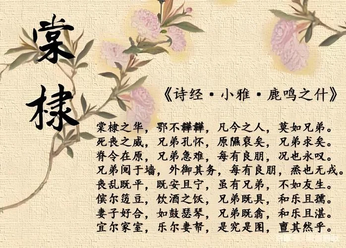 兄弟即翕下一句是什么-兄弟即翕下一句