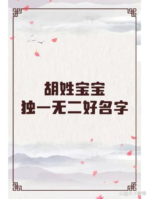 胡姓起名字大全女孩_2