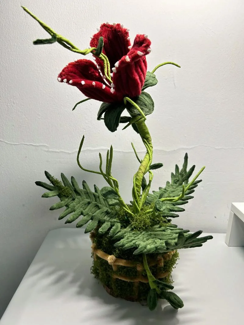 疯狂食人花的结局_2