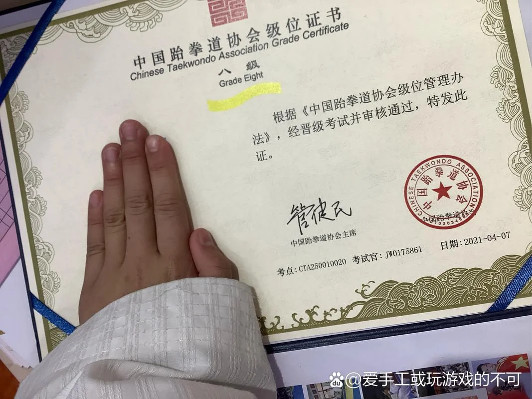 跆拳道级位证书查询_1