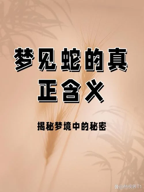 梦见大蛇是什么意思啊_2