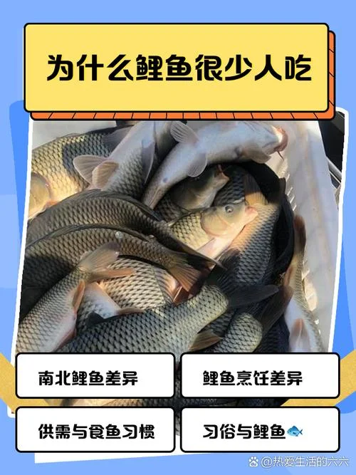 梦见别人吃鱼是什么意思-梦见他人吃鱼的寓意