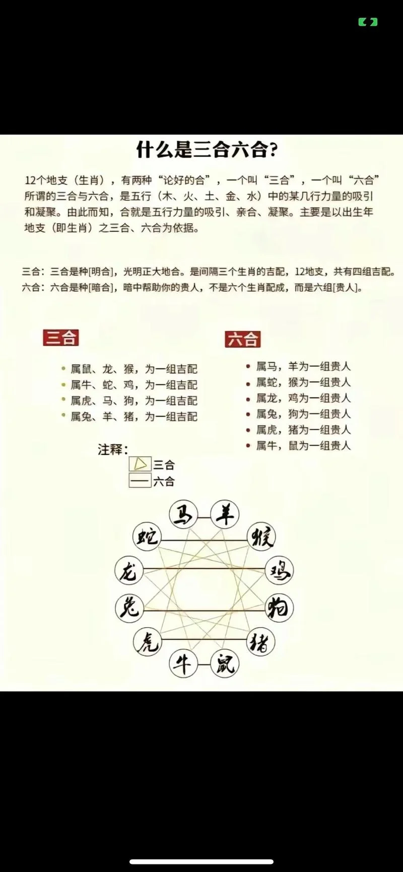属鸡6合属相-属鸡6合属相
