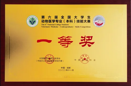 北方科技学院证书查询_1