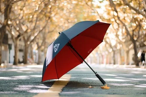 梦见自己买雨伞-梦购雨伞