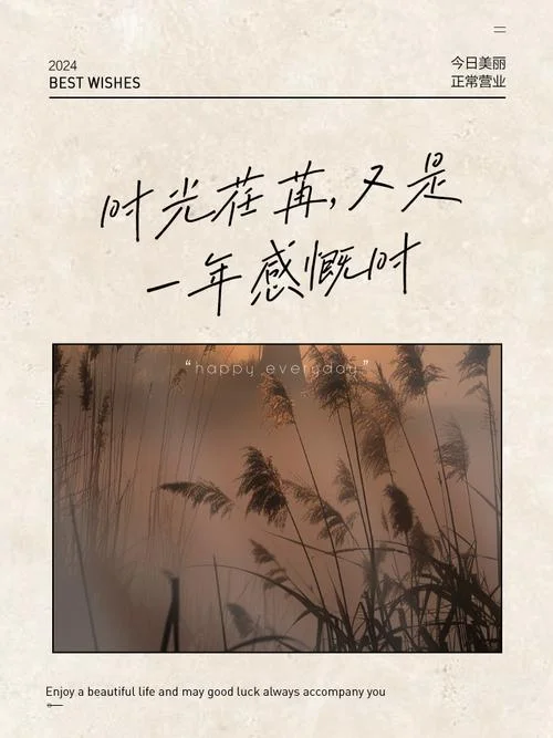 岁月感悟唯美句子_1