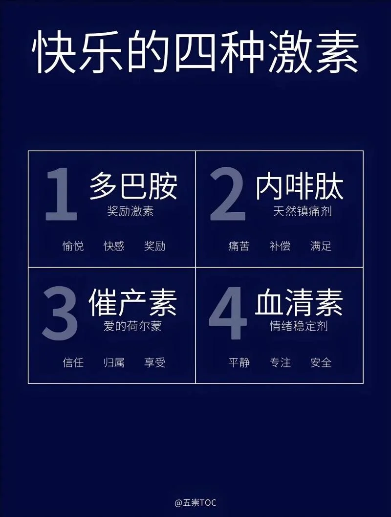 多巴胺内啡肽是什么意思_1
