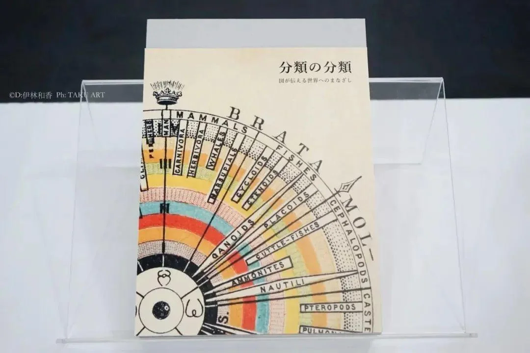 学美术出国留学要几年_1