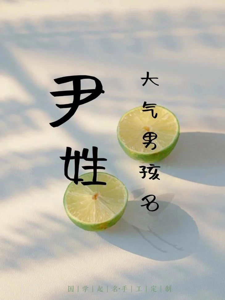 尹姓宝宝起名大全男_2