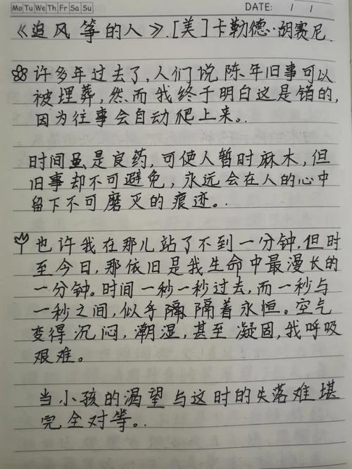 追风筝的人读后感30_1